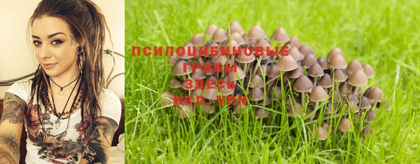 мескалин Алексин