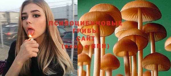 мескалин Алексин