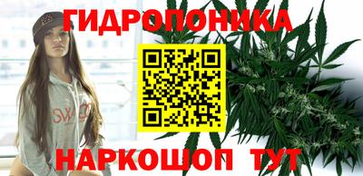 ГАЛЛЮЦИНОГЕННЫЕ ГРИБЫ Кинель