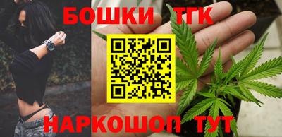 МДПВ Кингисепп