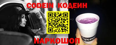 МДПВ Кингисепп
