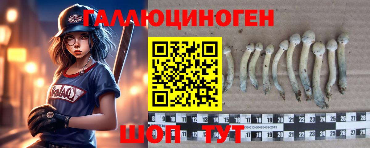 Псилоцибиновые грибы MAGIC MUSHROOMS Лесной
