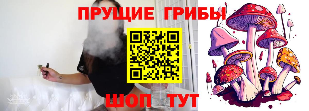 Галлюциногенные грибы ЛСД  Вход с VPN  сколько стоит  Галлюциногенные грибы мицелий  Лесной 