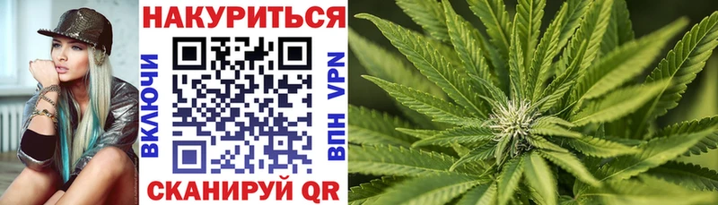 Шишки марихуана White Widow Лесной