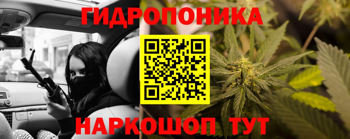 Конопля сатива  Вход с VPN  Марихуана VHQ  Лесной 